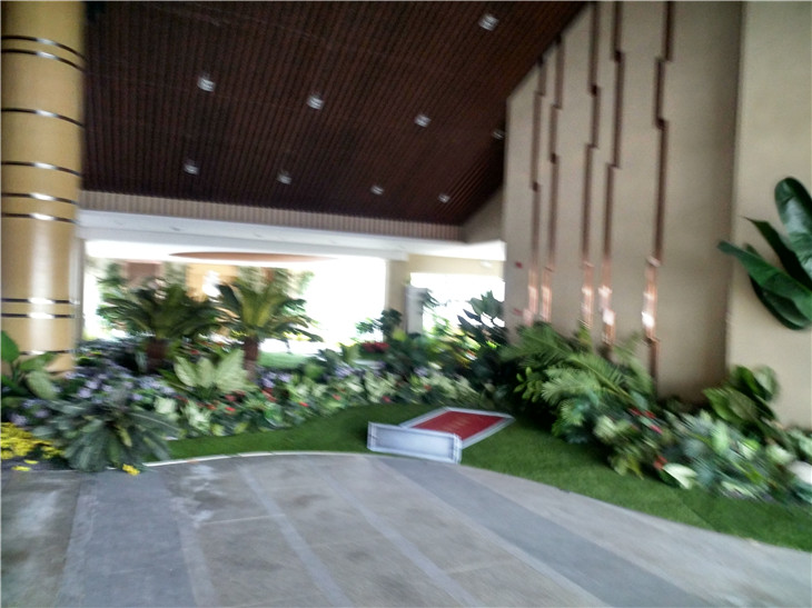 IMG_20200909_112701_HDR.jpg
